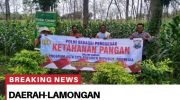 Lap giat Petugas Polmas Selaku Pendamping/Penggerak program Asta Cita Ketahanan pangan di wilayah kecamatan bluluk.