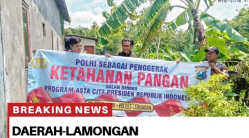 Anggota Bhabinkamtibmas desa songowareng melaksanakan pendampingan Dalam menanam tanaman pangan bergizi Terkait Tindak lanjut P2B di wilayah kecamatan bluluk.